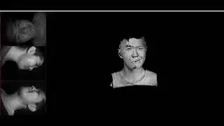 High-fidelity 3D real-time facial animation using infrared structured light sensing system