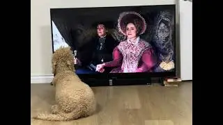 (Mostly) Eleanor Watching Gentleman Jack (2022)