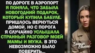 Вернулась из аэропорта за новогодним подарком, но подслушав разговор мамы и мужа