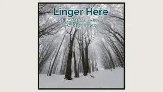 Linger Here &mdash; Still Waters Lo-Fi &mdash; Winter Grace