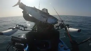 דייג מקיאק - טונה דורדו ופלמידה נחמדה 30.12.2022 / Рыбалка с каяка в Израиле