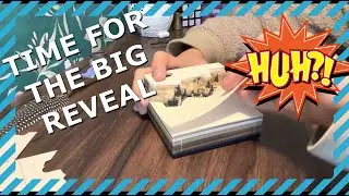 Surprise Satisfying Hogwarts Notepad with lights