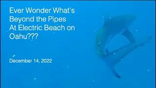Beyond the Pipes at Electric Beach