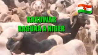 KASUWAR RAGUNA A NIGER 🇳🇪