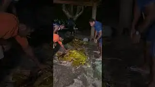Lovo Fijian under ground  BBQ at Discover Serenity Retreat in Fiji