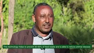 Improved livestock feeding yields positive results for Ethiopia's farmers