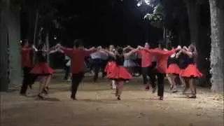 Sardana 