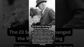 The 23 Seeds That Changed the World #viral #shorts #foryou #trending.