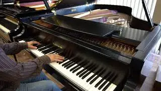 Baldwin grand piano Model L with the wireless player system
