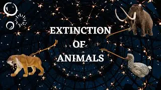 How did these Animals go extinct ??? | Extinction of Animals | Filtered Knowledge |
