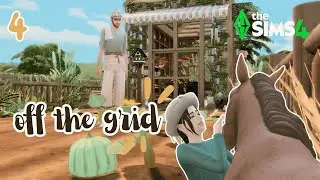 The farm has grown SO MUCH & feels more alive than ever 🌾 | Sims 4 Off The Grid Cozy Gameplay | ep 4