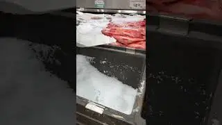 Shoveling Ice on Fish Display. Keeping fish Fresh. #howto #shorts #seafood