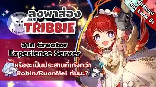 Tribbie  ประสานที่บัฟได้ทุกทีมอย่างแท้ทรู จาก Creator Experience Server l Honkai Star Rail
