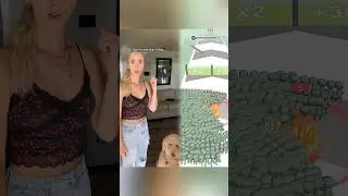 dog mom approved #dogtok #dogsoftiktok #pets #funnydog #dogs #fyp #dogowners #dating
