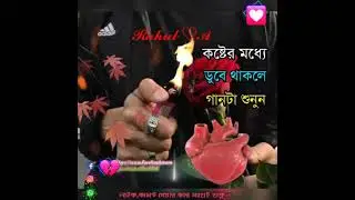 rnd pyl dbj bwf aea