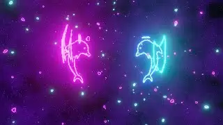 15 min Chill loop EDM Evil And Angel Dolphins music. #chill #music #edm #vibe #electric #dance #mix