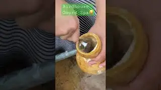 Cleaning Gourds for Pots, Painting, and Birdhouses. #Birdhouse #BirdhouseGourds #Gourds