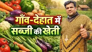 गाँव-देहात में सब्जी की खेती का सुनहरा नजारा। #farming #vegetables #desivlog 