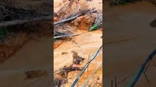 How Illegal Mining Destroys The Amazon Rainforest #GoldRushParkerTrail #Shorts