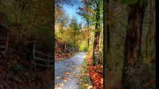 Autumn Park Animated