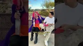 There must be something in the vodka