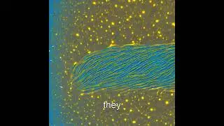 Unleashing the Power of Earth's Deep Ocean Microbial Network