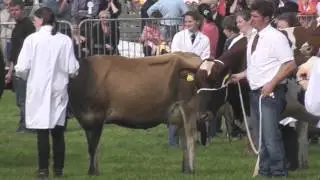 Isle of Man 2012 Royal Manx Agricultural Show
