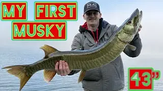 Waneta Lake NY 43&rdquo; musky on Z-Man spinner bait!!! My first ever musky! I am hooked. 
