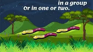 Glow worms glow warms Where do you go ? And what do you do ? you always move in a group Or in one or