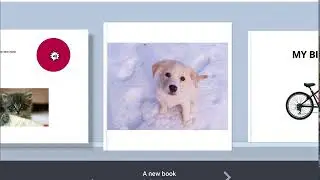 Get started with Book Creator (online version)
