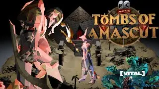 TOA runs with VITAL clan #osrs #learning