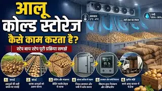 आलू कोल्ड स्टोरेज कैसे काम करता है | working process of potato cold storage