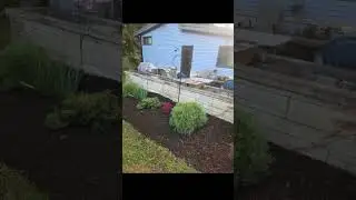 #garden #landscaping #motivation #yardwork