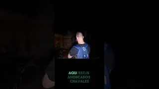#34_posesi&oacute;n siniestro en el s&oacute;tano.mp4 #paranormal #terrifyingtales #miedo