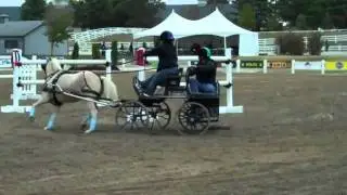 Carriage Derby Demo at WEG 10/4/10-Part 10