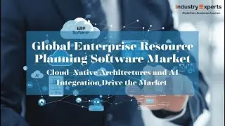 Enterprise Resource Planning (ERP) Software - A Global Market Overview by Industry Experts, Inc.