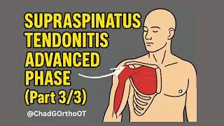 Supraspinatus Tendonitis: Build Functional Strength (Advanced Phase Rehab &ndash; Part 3)