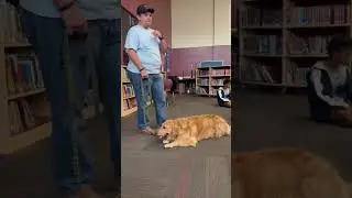 OPERATION K9 BEETHOVEN THERAPY DOG TEAM VISITS MIDLAND SCHOOL, ROCHELLE PARK, NJ