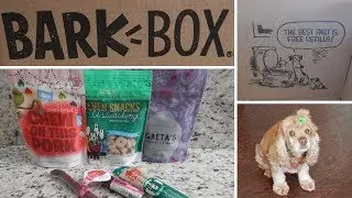 BARK BOX UNBOXING ● DOG TREATS ONLY BOX ● PRODUCT REVIEW