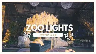 Zoo Lights // Cozy Winter Vlog