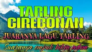 JAWARA TARLING CIREBONAN PALING HITS,suaranya adem bikin candu