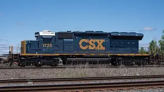 CSX Trains on the Selkirk Subdivision