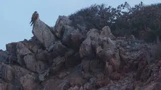 Fitzgerald River National Park , Western Australia's Fitzgerald Coast