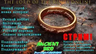 #61 #TheLordoftheRingsOnline #LotRO #ВКО #Взломщик #Burglar #Orcrist #ВосточныйВал #theEastWall