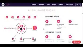 Domraider - 500м токенов продано.