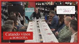 CATA de vinos de BORGO&Ntilde;A en DE BLANCO A TINTO. 5 vinos franceses de Pinot Noir y Chardonnay.