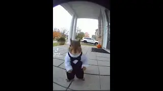 Cute dancing squirrel in nice costume #ai #funny #funnyshorts #squirrel