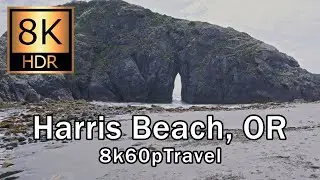 【8K】Harris beach walk. Brookings, Oregon. (Subtitles written by Google Bard)
