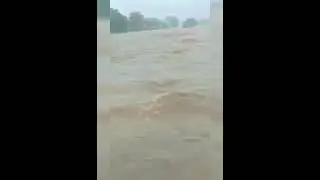 DREAM FOUNDATION TRUST #velloredistrict #floodrelief  #fieldwork #dftrust #shortvideo
