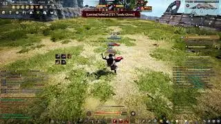 Damage Test 240 AP 243 AAP VS 342 DP (raw montage)